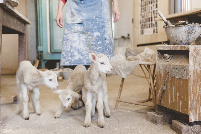 Sheep Farm image1