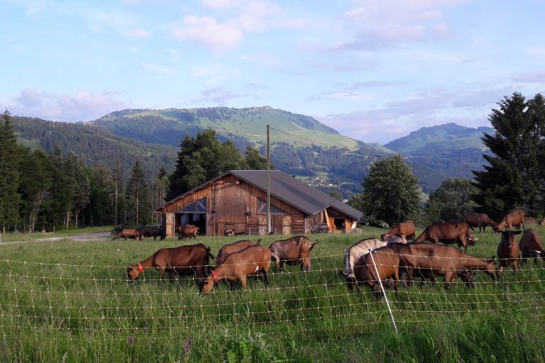 Les Moises Farm image1