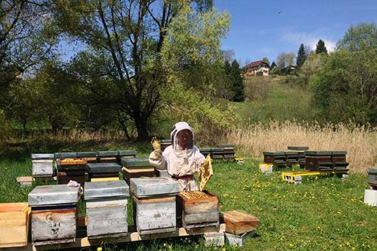 The Nade Apiaries image2