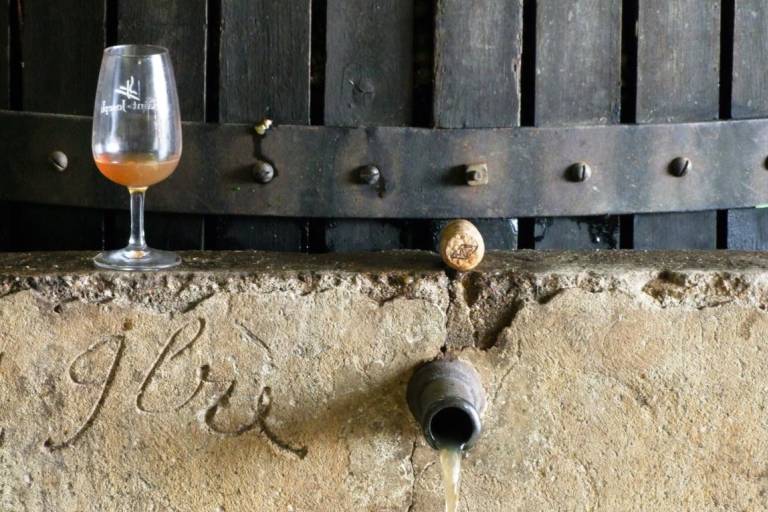 Domaine de Gouye image2