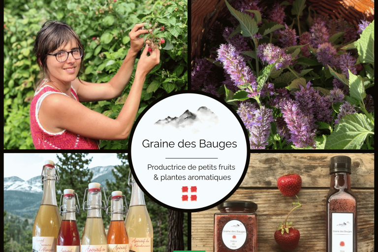 Graine des Bauges image1