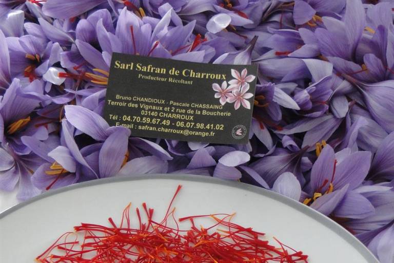 Saffron image1