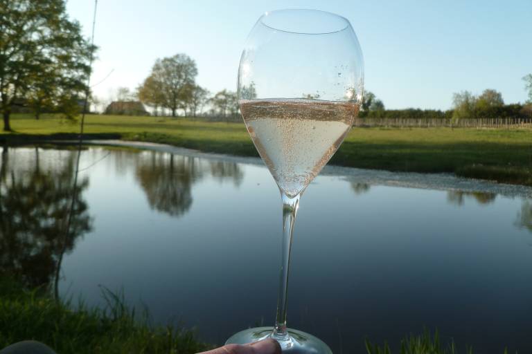 Domaine Grosbot-Barbara image1