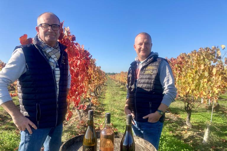 Domaine Gardien image1