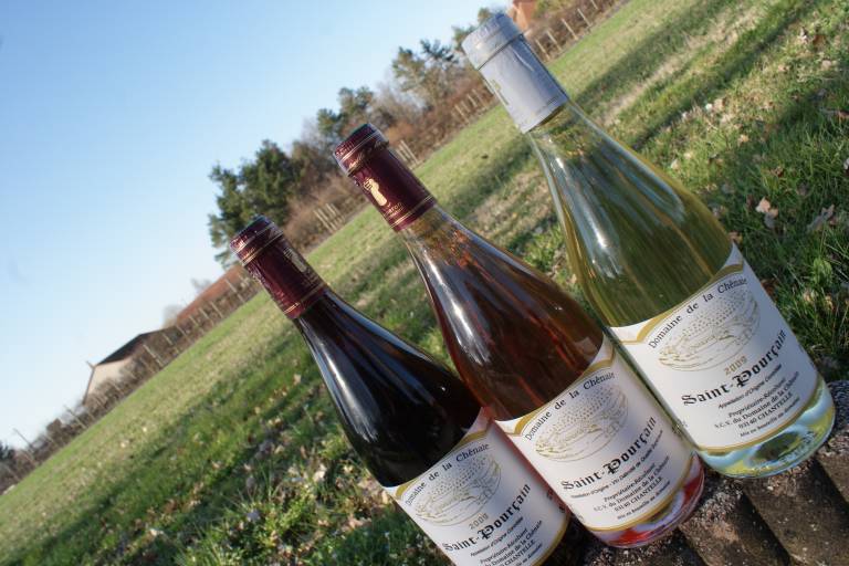 Domaine de la Chênaie image1