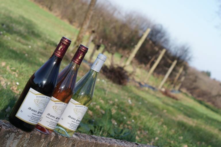 Domaine de la Chênaie image2
