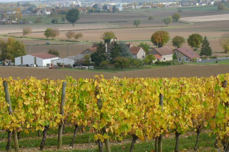 Domaine Ray image2