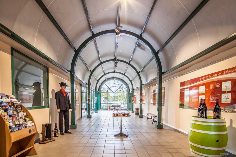Cellar of the vinegrowers' Union. image2
