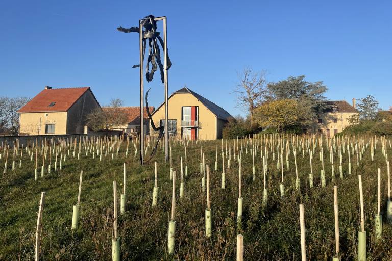 Clos de Breuilly image1