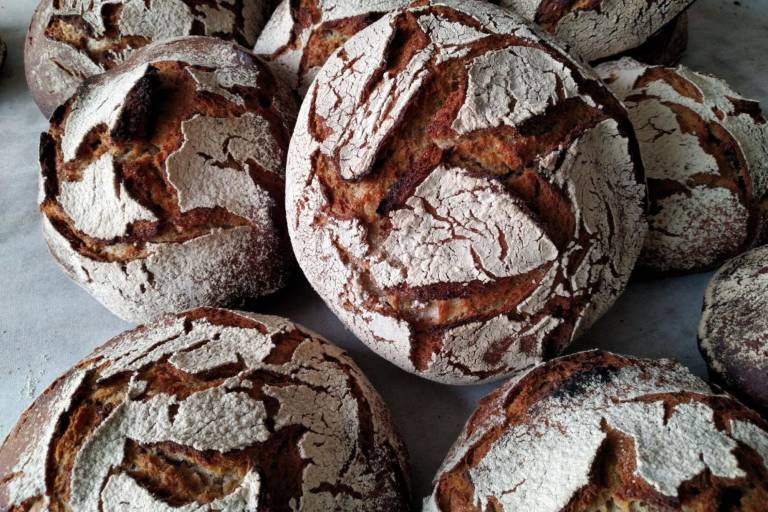 Le Fournil du Chêne Vert image1