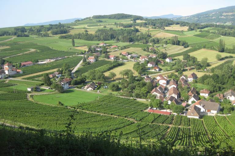 Domaine Dupasquier image2