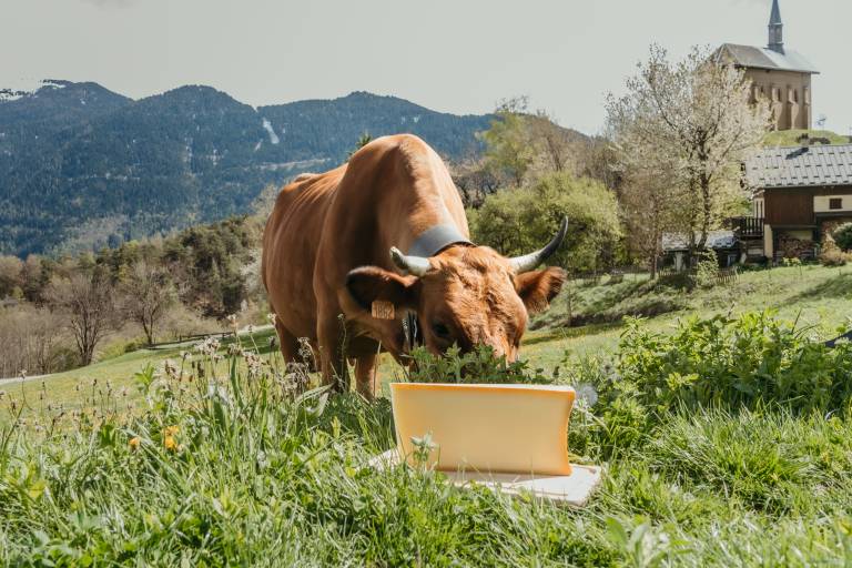 The cheese factory of Moûtiers image1