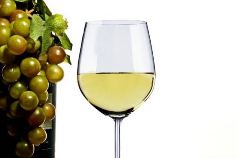 Syndicat des Viticulteurs de Saint-Pourçain image2