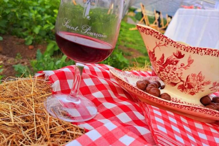 Syndicat des Viticulteurs de Saint-Pourçain image1