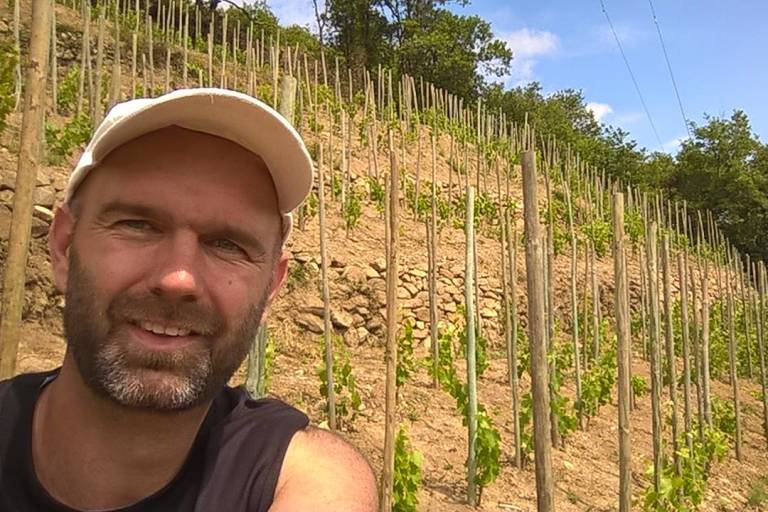 Les vins de Saint Vallier - Domaine Loïc Peychon image2