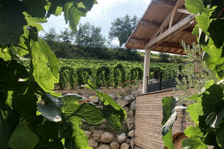 Domaine du Tunnel image2
