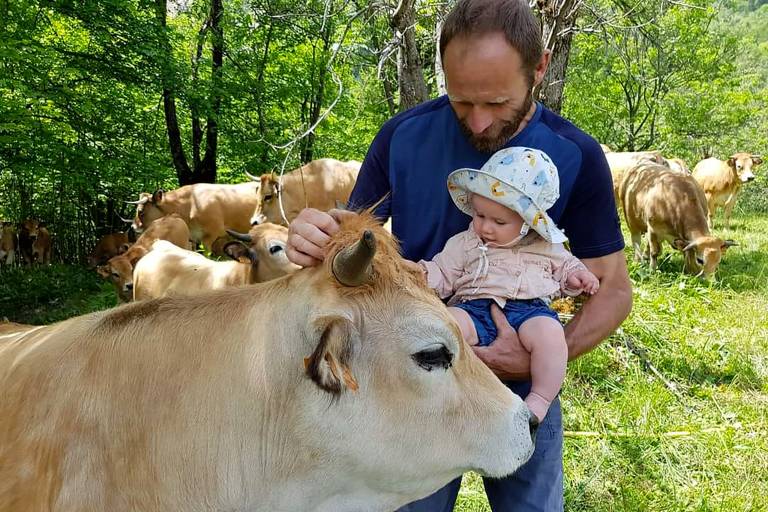 La Ferme des Aubracs image1