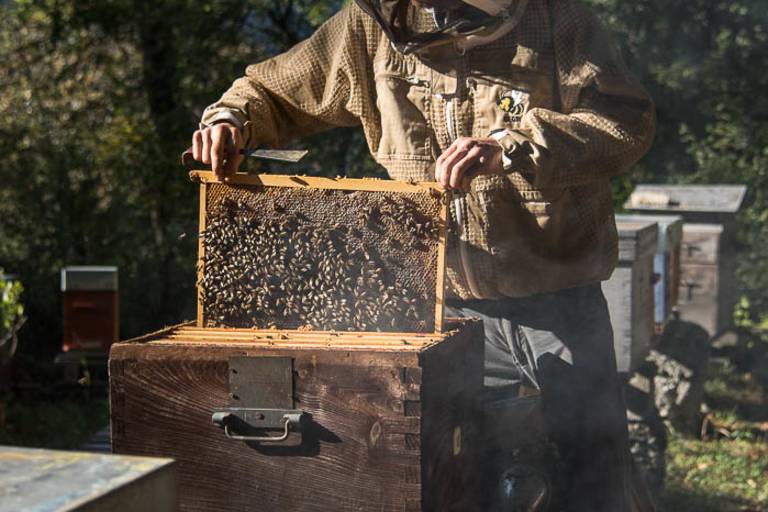 Honey - Florian Ratel image2