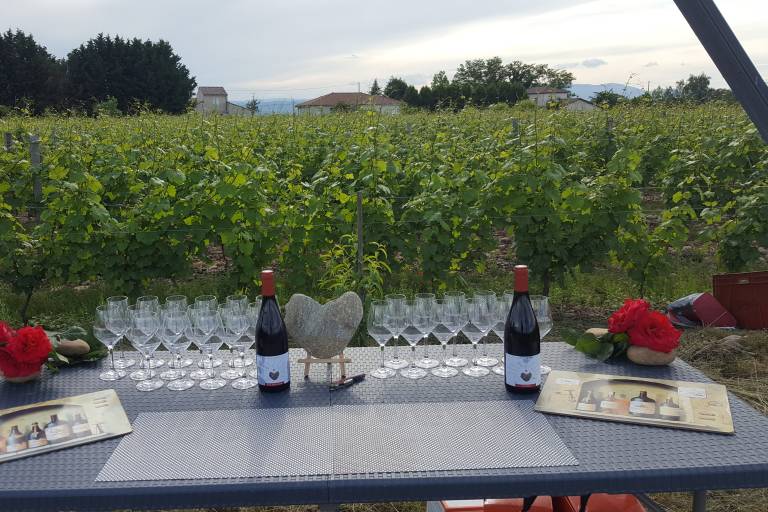 Domaine Lionel Brenier image2