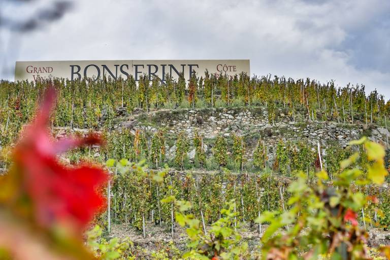 Domaine de Bonserine image1