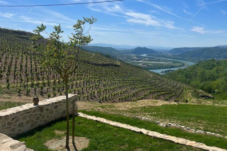 Domaine Lilian Bertrand image1