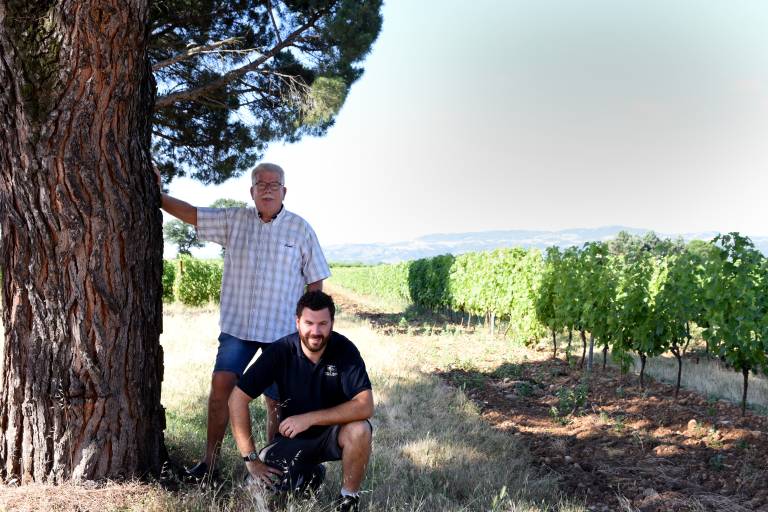Domaine Philippe et Vincent Jaboulet image1