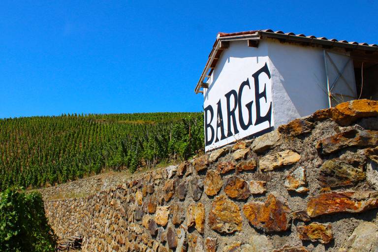 Domaine Julien Barge image1