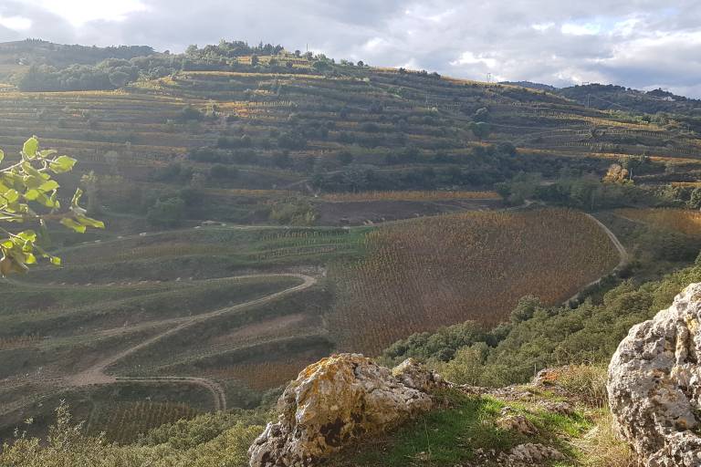 Matthieu Barret, Domaine du Coulet image1