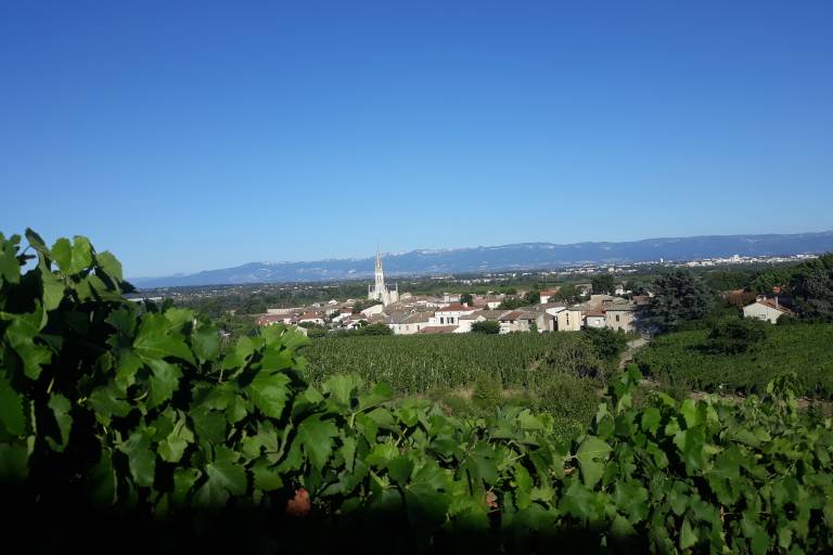 Domaine Verset A et E image2