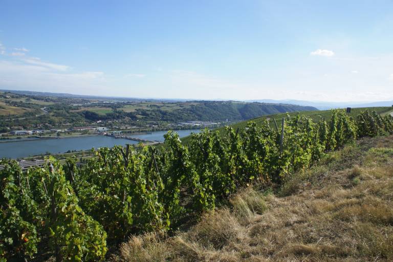 Domaine Clusel-Roch image1