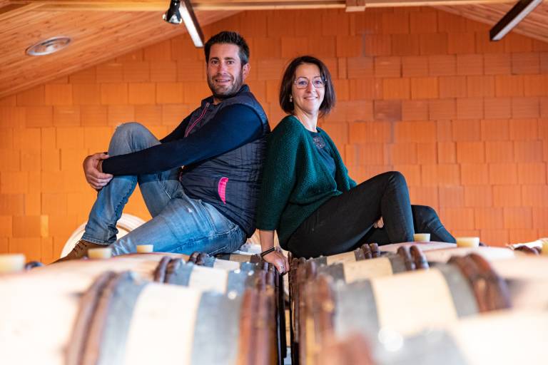 Domaine Melody image1