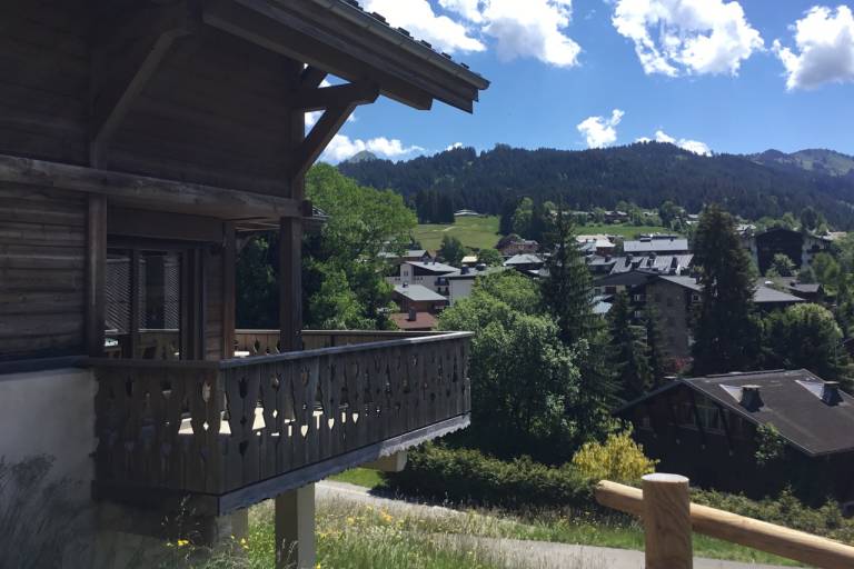 Chalet Les Pages image1