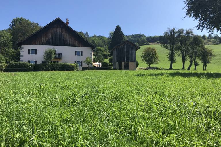L' épervier blanc image1