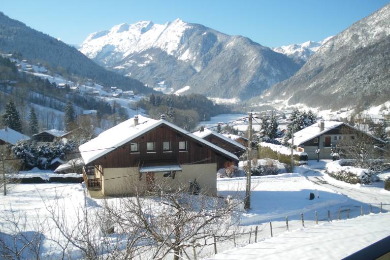 Les Géraniums image1