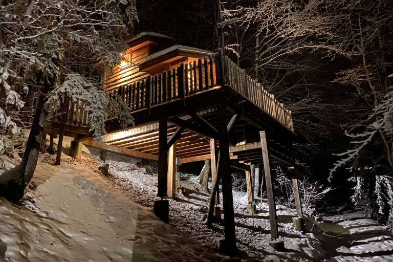 Là-Haut, cabanes perchées image1