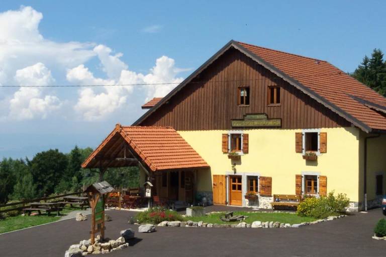 Edelweiss (2) image2