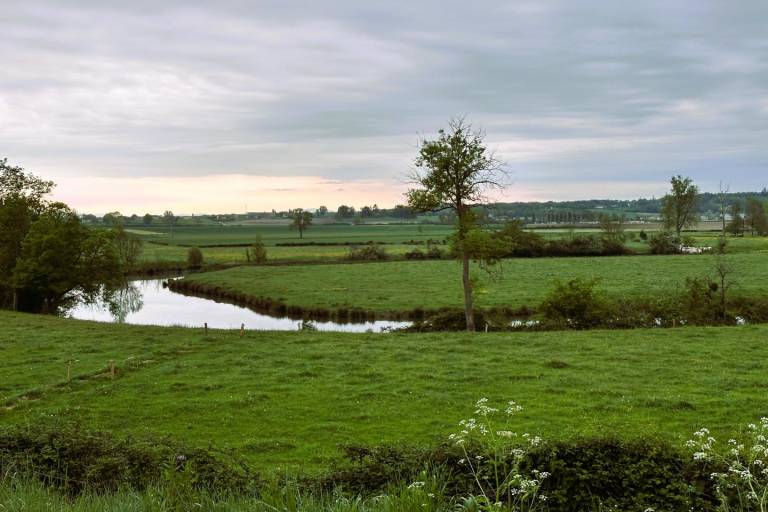 La Boire des Ducloux image2