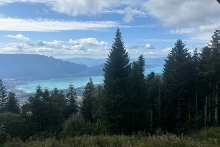 Chalet Le Bisolet image2