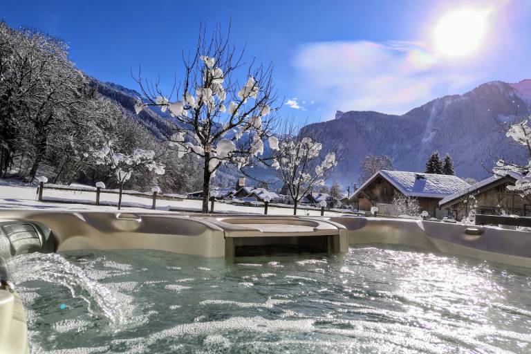 Chalet Luxe Josaly image2