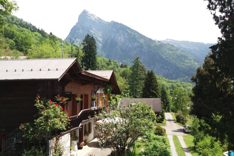 Chalet des Fleurs image1