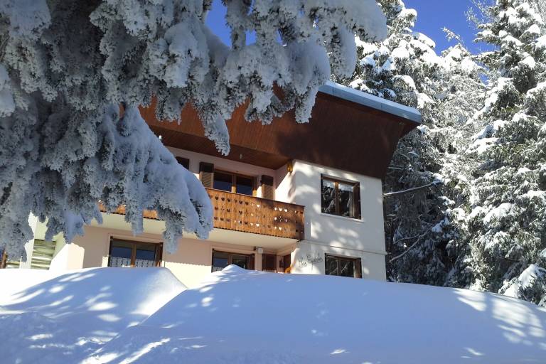 Chalet Les Epilobes image1