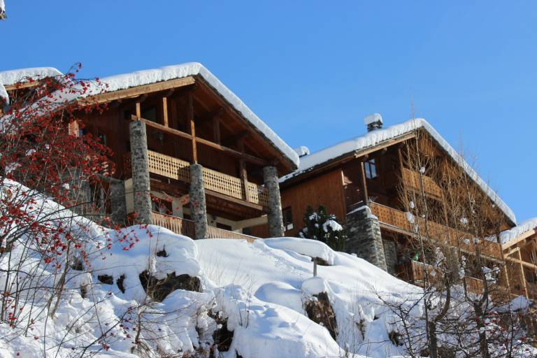 Chalet Argentière - Lys Martagon image1