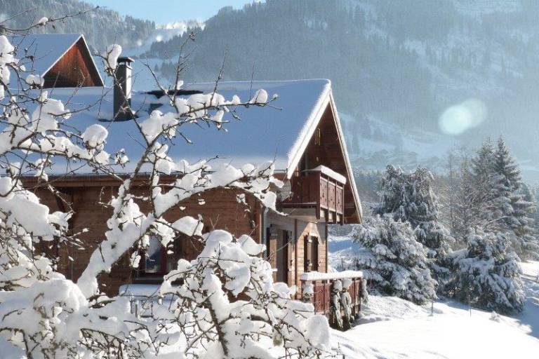 Chalet Le Châtel'Ain image1