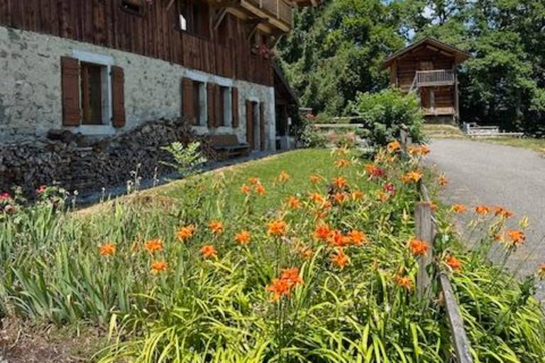 Chambre Bémont chez l'habitant image2