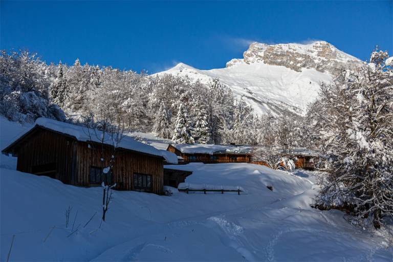 Domaine de Serraval image1