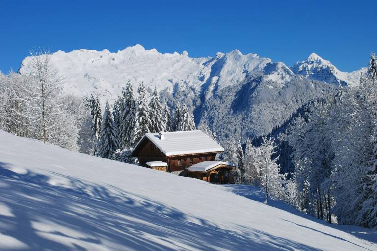 Chalet Les Pellys image1