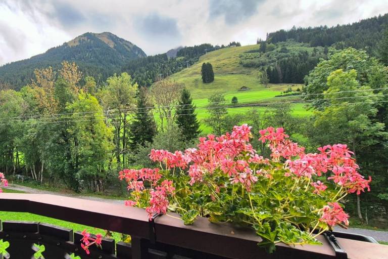 Appartement le Triolet - 44m² - 1 chambre - Alp'in Conciergerie image1