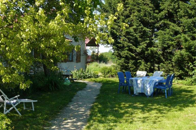 Les cèdres des collines image1