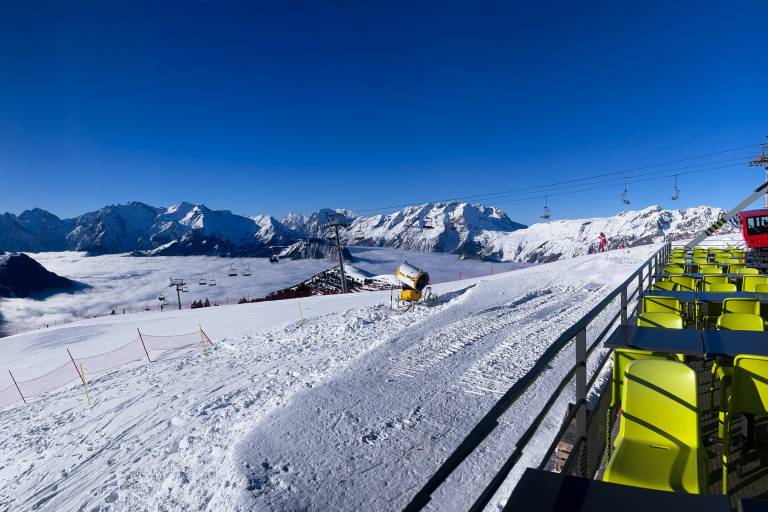 Signal 2108 - Le comptoir image2
