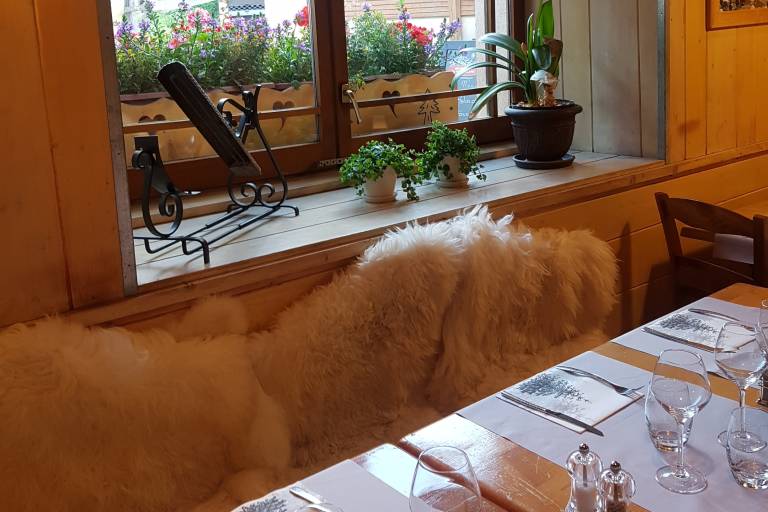 Les Mélèzes - Restaurant image1